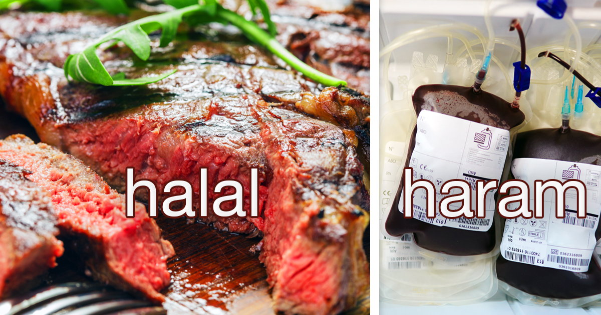 Noktara - Blutiges Steak doch nicht haram- Darum musst du keine Schuhsohle essen - halal - haram - Vergleich