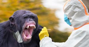 Noktara - Corona-Testzentren rüsten auf Affenpocken um