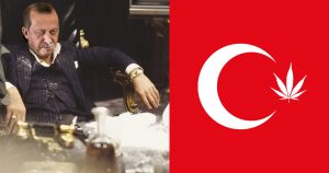 Noktara - Erdogan will Drogen legalisieren, um die türkische Wirtschaft zu retten