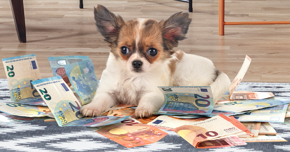 Noktara - Hundegeld- Kindergeld wird auf kinderlose Hundehalter ausgeweitet