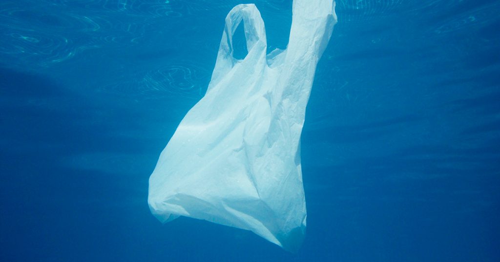 Noktara - Meeresbiologen erklären Plastiktüten im Ozean zu neuer Quallenart - Nahaufnahme