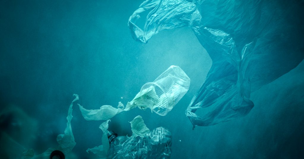 Noktara - Meeresbiologen erklären Plastiktüten im Ozean zu neuer Quallenart - Nahrungsaufnahme