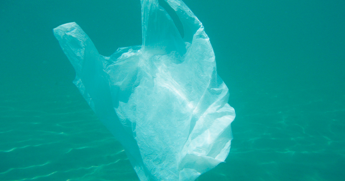 Noktara - Meeresbiologen erklären Plastiktüten im Ozean zu neuer Quallenart
