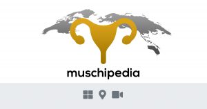 Noktara - Muschipedia - Mann startet Webseite, um Frauen transparenter zu machen