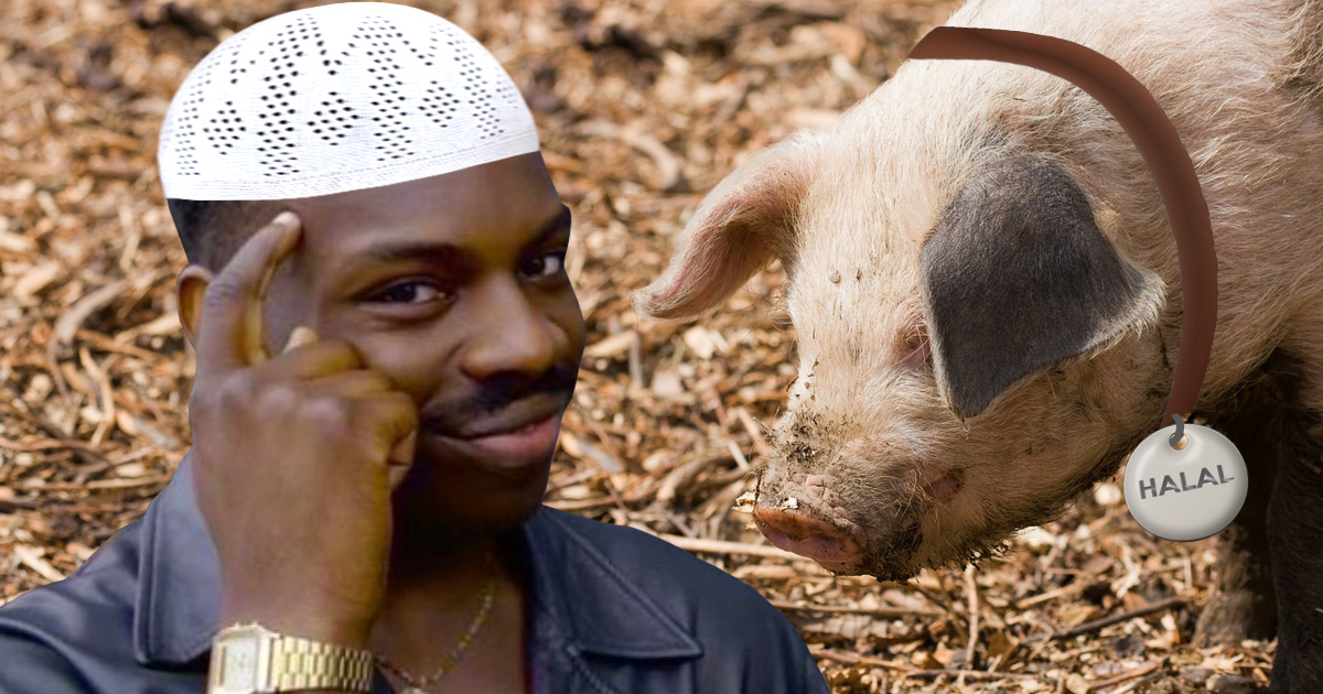Muslim hält Schwein als Haustier und nennt es HALAL