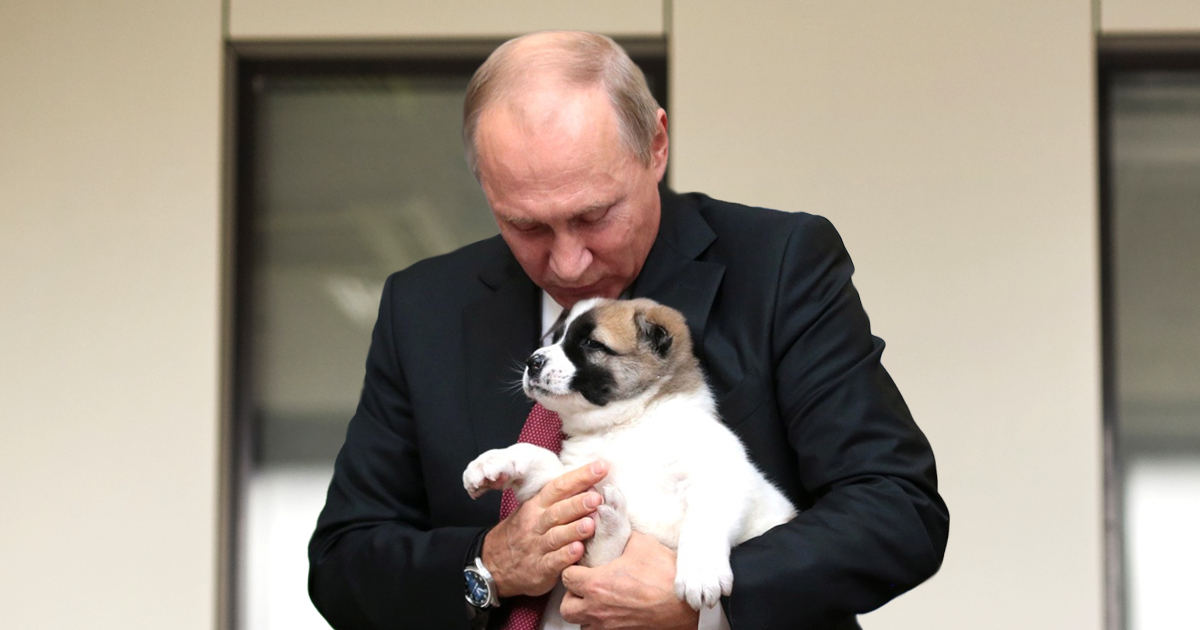 Noktara - Russland erwägt Todesstrafe für Hundewelpen, falls Lage nicht ruhig bleibt