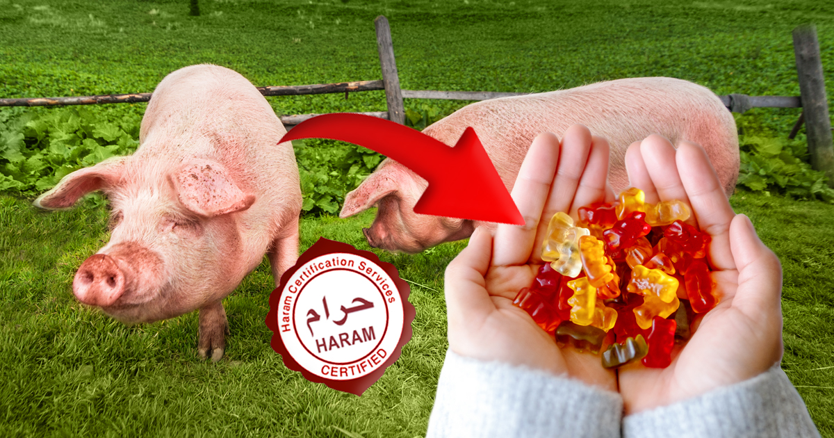 Noktara - Schweinefleisch haram, weil es Gelatine enthalten kann