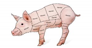 Noktara - Schweinefleischkunde - Diese Teile vom Schwein sind für Muslime haram - Halal-Metzgerei