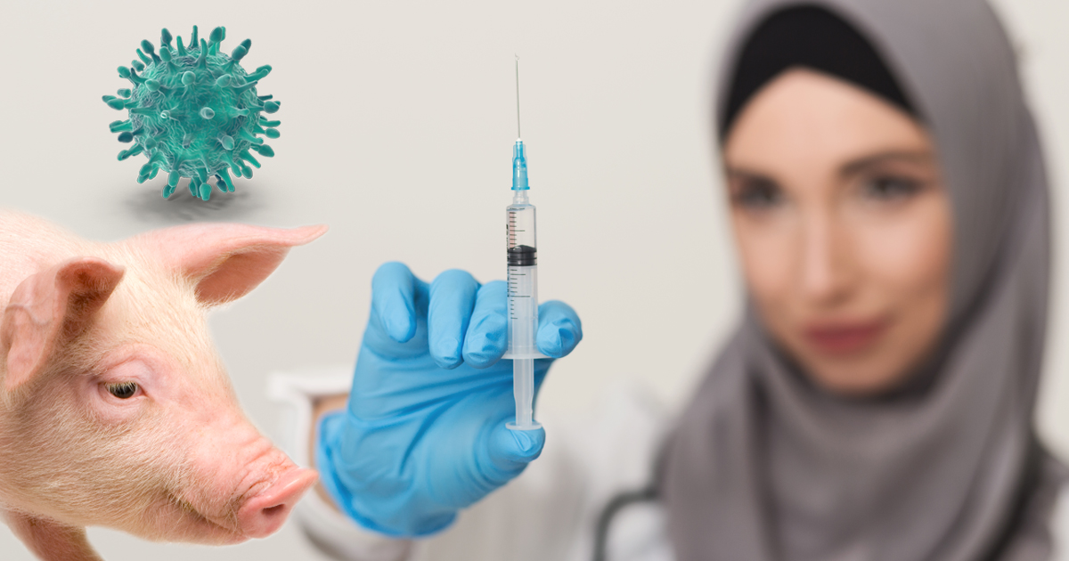 Noktara - Schweinegrippe - Mediziner bestätigen, dass Muslime immun sind