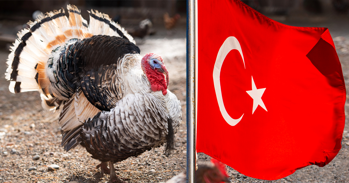 Noktara - Turkey - Petition gestartet, um Truthahn zu Turkiye umzubenennen